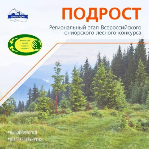 В детском технопарке «Кванториум-51» подвели итоги регионального этапа Всероссийского юниорского лесного конкурса «Подрост»