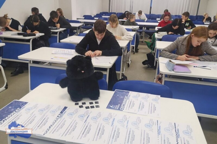 Центр образования «Лапландия» стал площадкой ХII ежегодного всероссийского флешмоба MathCat!