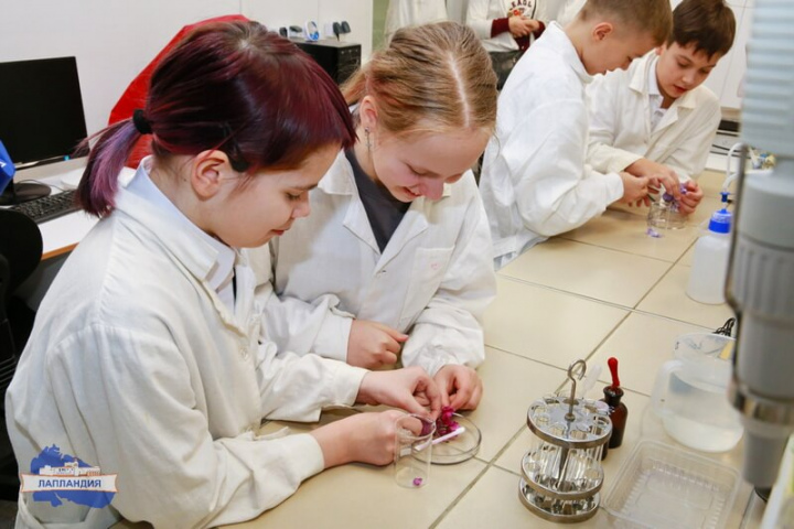 Новогодние мастер-классы стартовали!