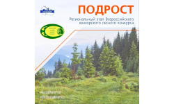Подведены итоги регионального этапа Всероссийского юниорского лесного конкурса «Подрост» в Мурманской области
