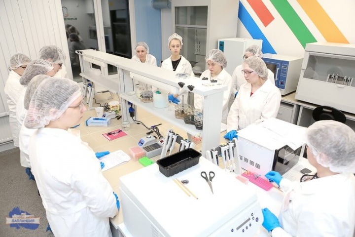 В биоквантуме «Кванториума-51» состоялся мастер-класс «Рестрикционный анализ ДНК фага лямбда»