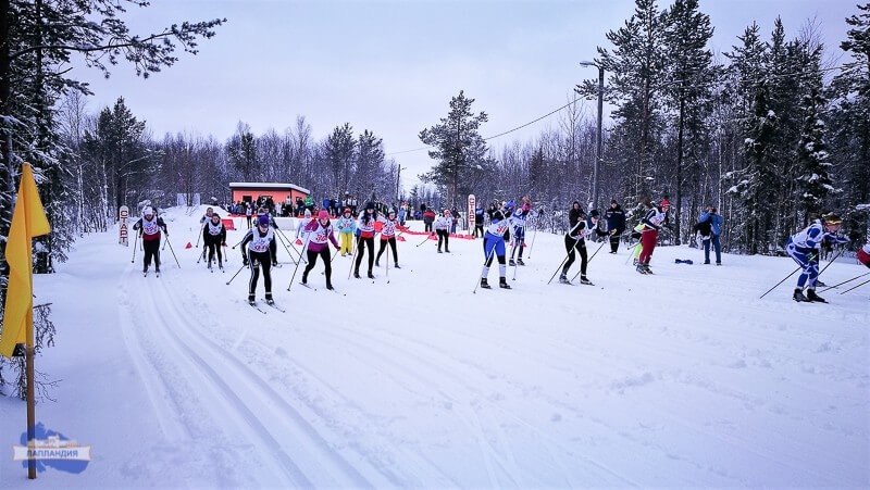 В Мурманской области состоялись соревнования по лыжным гонкам 54 Спартакиады студентов профессиональных образовательных организаций Мурманской области