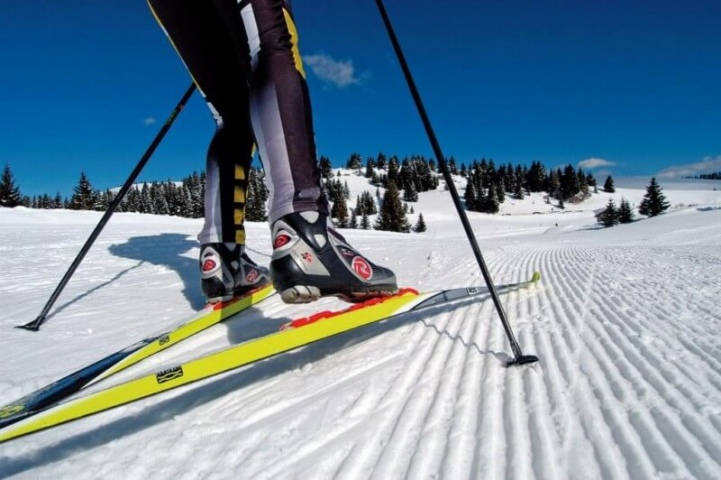 В Мурманской области состоятся международные лыжные старты «Лыжня эколят – Молодых защитников Природы» 