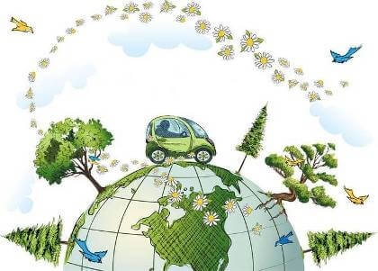 В Мурманской области проводится областной конкурс исследовательских и проектных работ по экологии «Экологические маршруты Мурманской области»