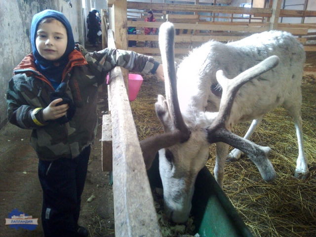 Учащиеся Центра «Лапландия» посетили страусиную ферму