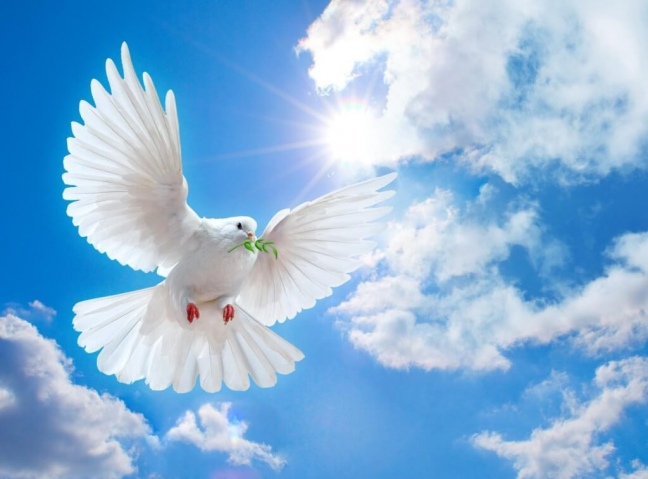 В Мурманской области проходит конкурс детского творчества «Мирное небо над головой»