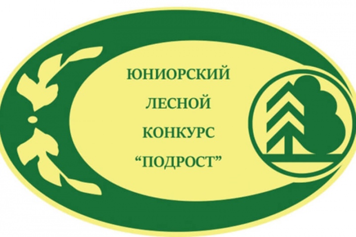 В Мурманской области проходит региональный этап Всероссийского юниорского лесного конкурса «Подрост»