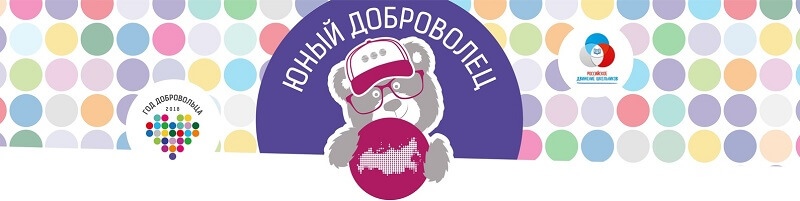 Активисты Российского движения школьников Мурманской области поедут в Москву на Международный форум добровольцев