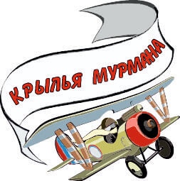 В Мурманской области состоятся региональные соревнования по авиамодельному спорту в классе моделей F «Крылья Мурмана»