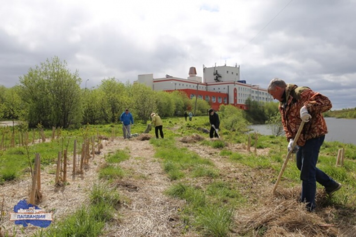 Накануне Дня России сотрудники центра «Лапландия» вышли на предпраздничную уборку территории