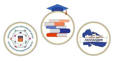 В РМЦ Мурманской области выбрали лучшие инновационные дополнительные программы региона