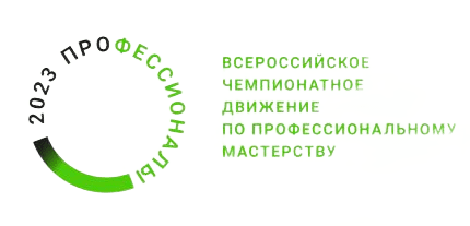 Школьники Мурманской области участвуют в отборочном этапе Всероссийского чемпионатного движения 