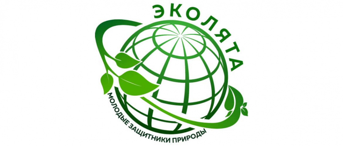 Подведены итоги регионального этапа Всероссийского (международного) фестиваля «Праздник Эколят – молодых защитников природы»!