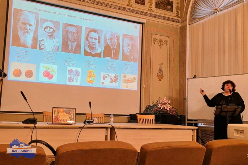 Центр «Лапландия» и технопарк «Кванториум» города Ноябрьска запускают совместный проект по изучению морошки под научным кураторством ВИР