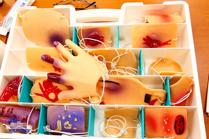 В центре «Лапландия» прошла очная сессия в рамках реализации программы «Региональная очно-заочная школа ЮИД