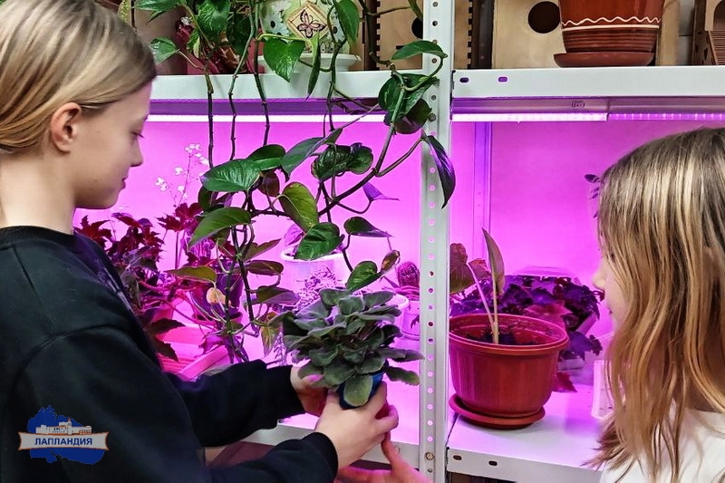 «Юннаты Первых» теперь в центре образования «Лапландия»