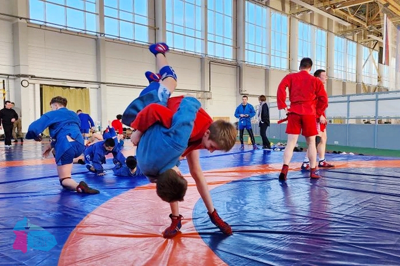 «САМБО: Спортивное мастерство». Старт дан!