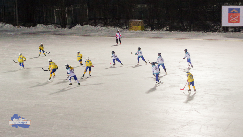 Региональный этап Всероссийских соревнований по хоккею с мячом клуба «Плетёный мяч»