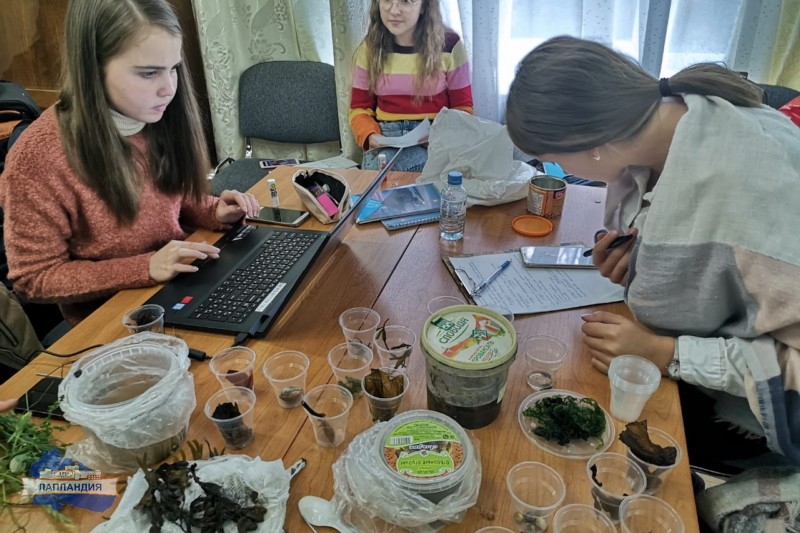 Региональный этап Всероссийского слета юных экологов