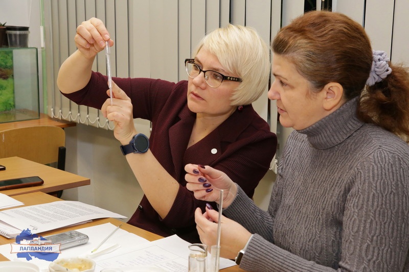 В центре Лапландия завершился курс повышения квалификации «Современные подходы к реализации дополнительного естественнонаучного образования»